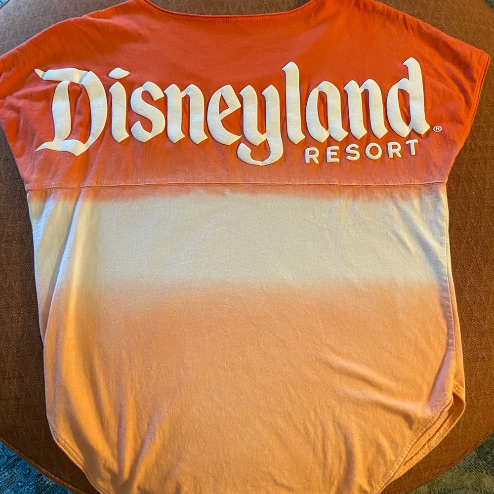 DISNEY SPIRIT JERSEY Ombré Short Sleeved Top